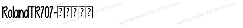 RolandTR707字体转换