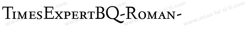 TimesExpertBQ-Roman字体转换