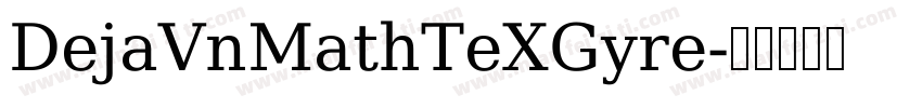 DejaVnMathTeXGyre字体转换