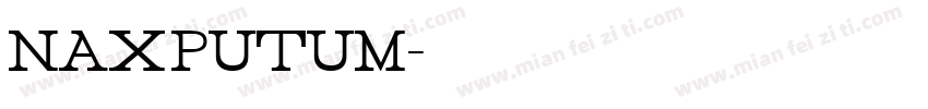 naxputum字体转换