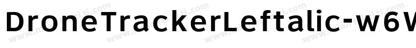 DroneTrackerLeftalic-w6W8字体转换