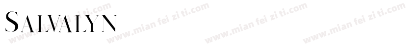 Salvalyn字体转换