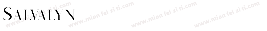 Salvalyn字体转换