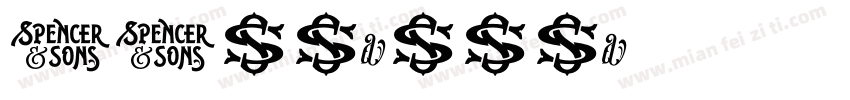 SJnianhua字体转换