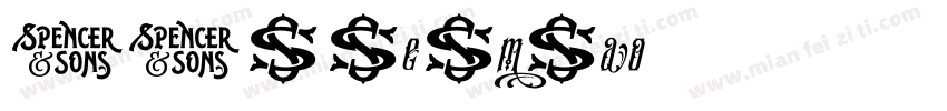 SJzhenmiao字体转换