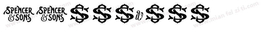SJzhuanli字体转换