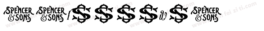 SSruiyuanT字体转换