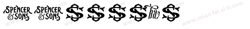 STxingbai字体转换