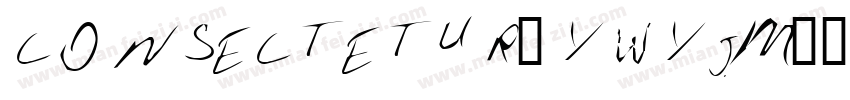 Consectetur-ywYjm字体转换