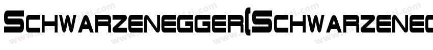 Schwarzenegger(Schwarzenegger)字体转换
