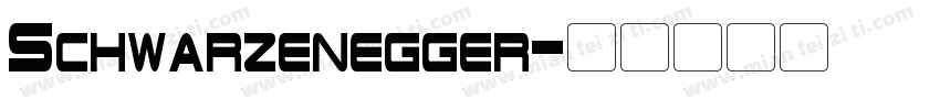 Schwarzenegger字体转换