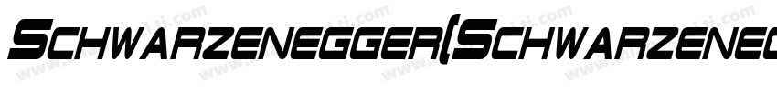 Schwarzenegger(Schwarzenegger)字体转换