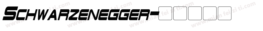 Schwarzenegger字体转换