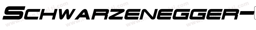 Schwarzenegger字体转换