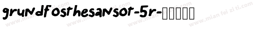 grundfosthesansot-5r字体转换