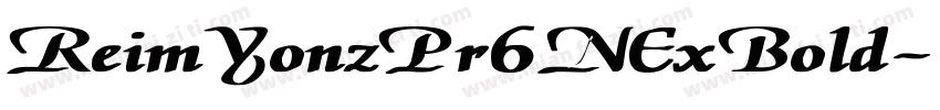 ReimYonzPr6NExBold字体转换