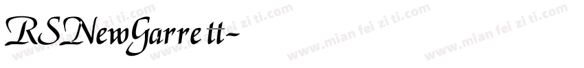 RSNewGarrett字体转换