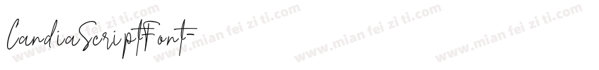 CandiaScriptFont字体转换