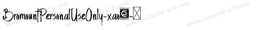 BromountPersonalUseOnly-xao8字体转换