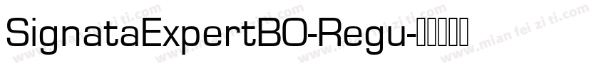 SignataExpertBO-Regu字体转换