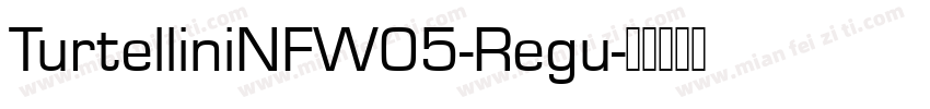 TurtelliniNFW05-Regu字体转换