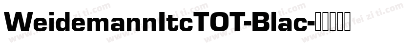 WeidemannItcTOT-Blac字体转换