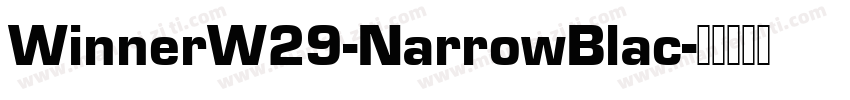 WinnerW29-NarrowBlac字体转换
