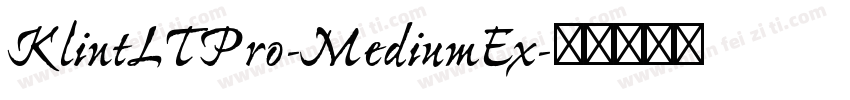 KlintLTPro-MediumEx字体转换