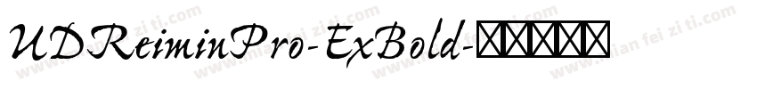 UDReiminPro-ExBold字体转换
