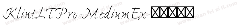 KlintLTPro-MediumEx字体转换