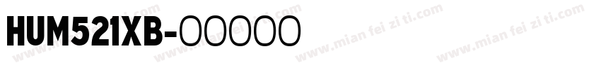 HUM521XB字体转换