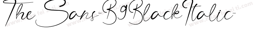 TheSans-B9BlackItalic字体转换