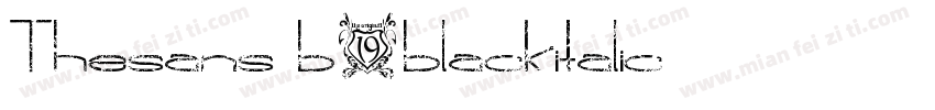 TheSans-B9BlackItalic字体转换