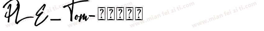 PLE_Tom字体转换
