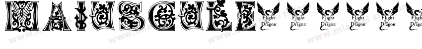 majuscule字体转换