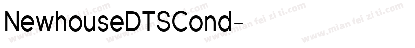 NewhouseDTSCond字体转换