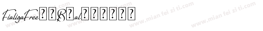 FialigaFree-4B7al字体转换