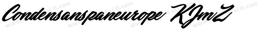 Condensanspaneurope-KJmZ字体转换