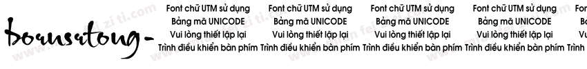 bornsrtong字体转换