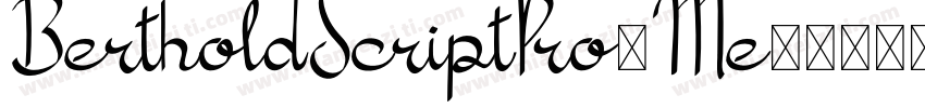 BertholdScriptPro-Me字体转换
