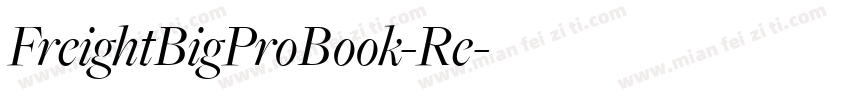 FreightBigProBook-Re字体转换