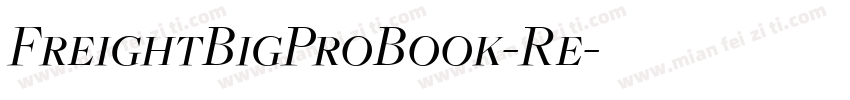 FreightBigProBook-Re字体转换