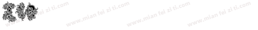 ZJR字体字体转换