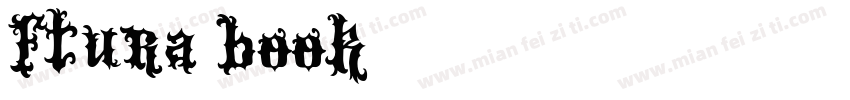 ftura-book字体转换