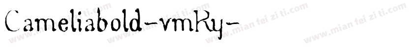 Cameliabold-vmRy字体转换