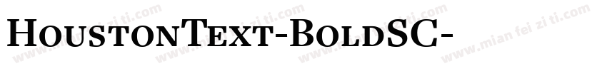 HoustonText-BoldSC字体转换
