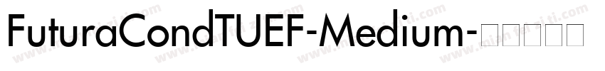 FuturaCondTUEF-Medium字体转换