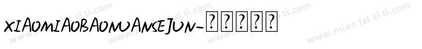 XIAOMIAOBAONUANSEJUN字体转换