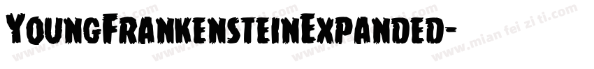 YoungFrankensteinExpanded字体转换