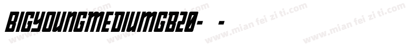 bigYoungMediumGB20-中字体转换